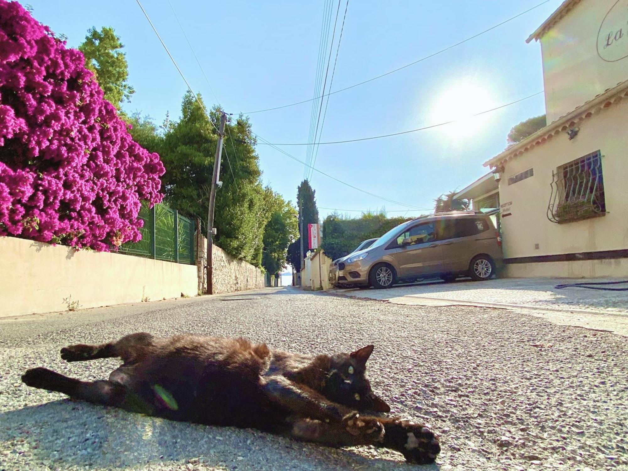 La Jabotte Hotell Antibes Eksteriør bilde