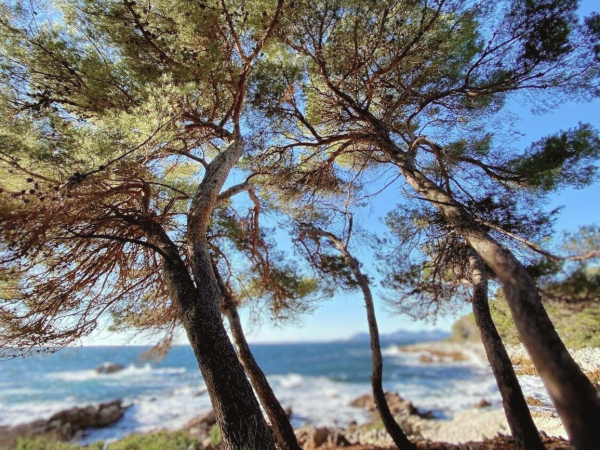 La Jabotte Hotell Antibes Eksteriør bilde
